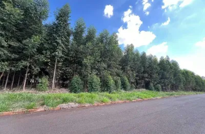 Terreno à venda na Rua Pioneiro José Tel, 1875, Jardim Guaporé, Maringá