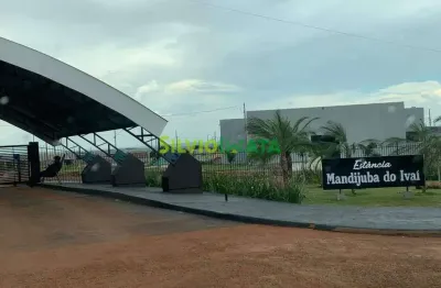 Terreno residencial à venda em mandijuba do ivaí - engenheiro beltrão