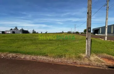 Terreno comercial à venda na Rodovia Depsílvio Barros, Alpha Empresarial, Iguaraçu