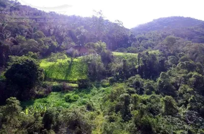 Fazenda em sacra família do tinguá - engenheiro paulo de frontin, rj