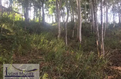 Terreno em recanto dos eucaliptos  -  paty do alferes