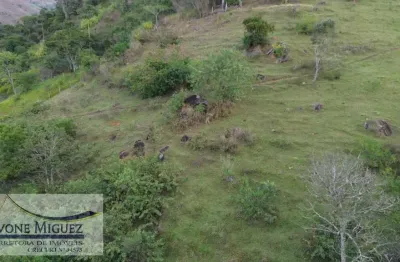 Terreno à venda no Araras, Petrópolis 