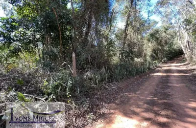 Terreno à venda em Palmares, Paty do Alferes 