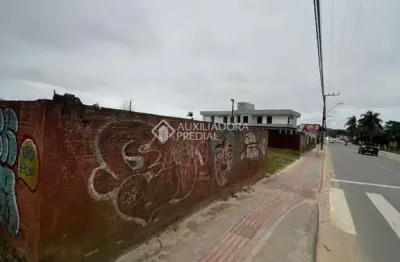 Terreno comercial para alugar na vereador laudelino antônio teixeira, 223, campo duna, garopaba, 700 m2 por r$ 10.000
