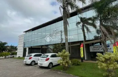 Sala comercial para alugar na abílio manoel de lima, 2715, areais da palhocinha, garopaba, 71 m2 por r$ 3.300