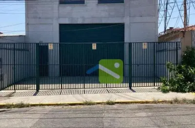 Barracão / Galpão / Depósito para alugar na Rua Doutor Antônio Roberto Neto, Jardim Esmeralda, São Paulo