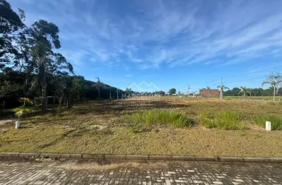 Terreno em loteamento quinta das palmeiras, garopaba/sc