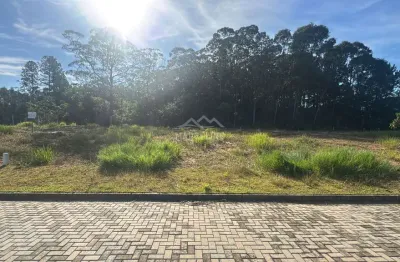 Terreno em loteamento quinta das palmeiras, garopaba/sc