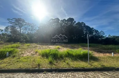 Terreno em loteamento quinta das palmeiras, garopaba/sc