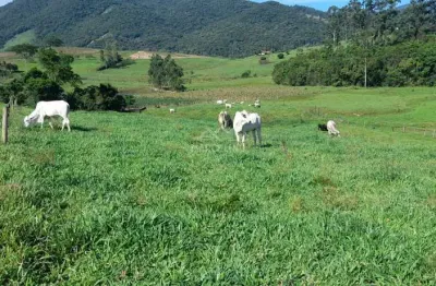 Chácara / sítio à venda na Estrada Geral Aratingaúba, Aratingauba, Imaruí