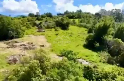 Chácara / sítio à venda no Ribeirão de Cangueri, Imaruí 