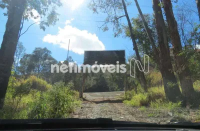 Terreno comercial à venda na Rodovia Anel Rodoviário Celso Mello Azevedo, Olhos D'Água, Belo Horizonte