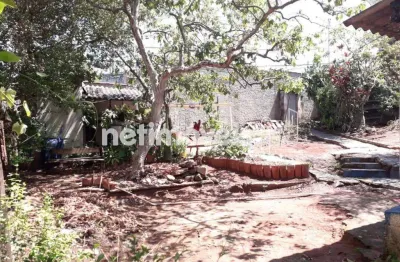 Terreno comercial à venda na Rua Maria Syllene Andreazzi, Glória, Belo Horizonte