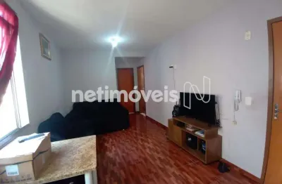 Venda apartamento 2 quartos santa amélia belo horizonte