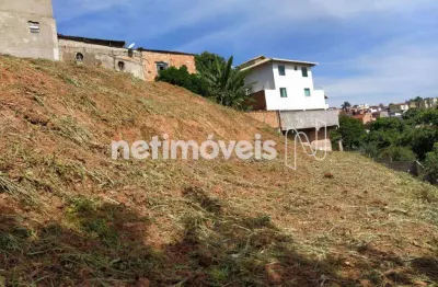 Terreno comercial à venda na Rua São Judas Tadeu, Santa Mônica, Belo Horizonte