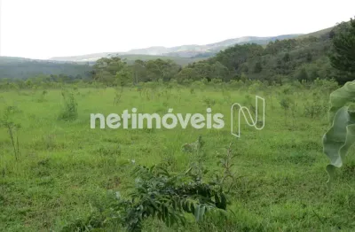 Terreno em condomínio fechado à venda na Lote Um, Vila Alpina, Nova Lima