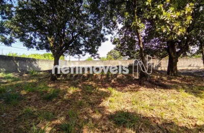 Terreno comercial à venda na Rua Dirceu Duarte Braga, Trevo, Belo Horizonte