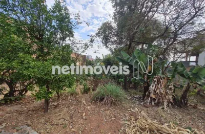 Venda lote-área-terreno cinquentenário belo horizonte