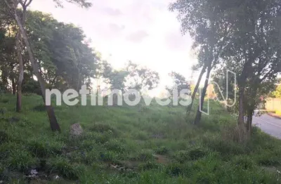 Terreno comercial à venda na Rua Dona Amélia Torres, Jardim Nazareno, Betim