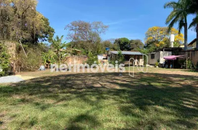Terreno comercial à venda na Rua Mandacaru, Trevo, Belo Horizonte