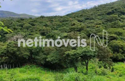 Terreno comercial à venda na Estrada Azevedo, Zona Rural, Moeda