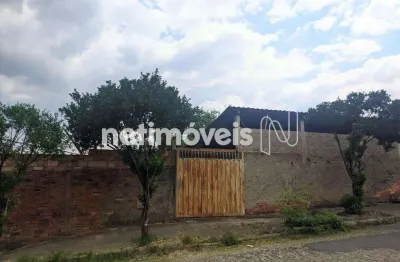 Terreno comercial à venda na Rua Rosinha Cadar, São João Batista, Belo Horizonte