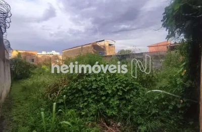 Venda lote-área-terreno santa terezinha belo horizonte