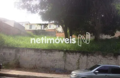 Terreno comercial à venda na Rua dos Bacuraus, Vila Cloris, Belo Horizonte