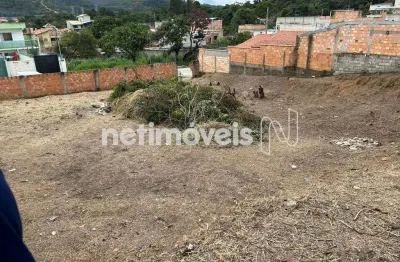 Terreno comercial à venda na Rua Pedro Alves, Itacolomi, Betim