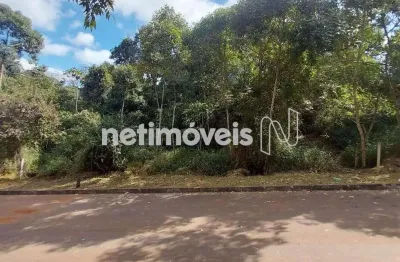 Terreno comercial à venda na Rua Um, Canto da Mata, Nova Lima