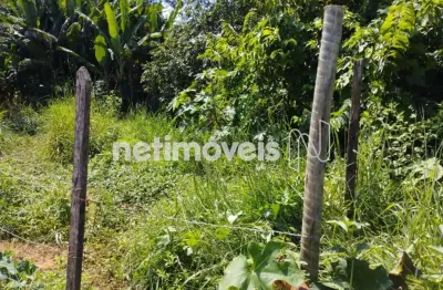Venda lote-área-terreno encruzilhada são pedro dos ferros