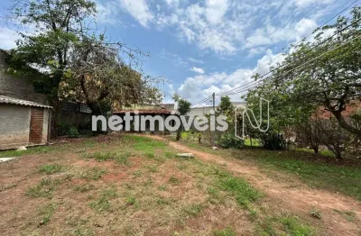 Venda lote-área-terreno santa amélia belo horizonte