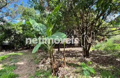 Terreno comercial à venda na Rua Etervino Tibúrcio Henriques, Garças, Belo Horizonte