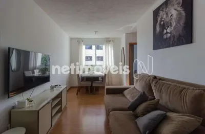 Apartamento com 2 quartos à venda na Alameda dos Flamingos, Cabral, Contagem