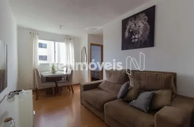 Apartamento com 2 quartos à venda na Alameda dos Flamingos, Cabral, Contagem
