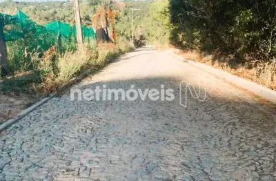 Terreno comercial à venda na Rua dos Coqueiros, Vila Ipê Amarelo, Contagem