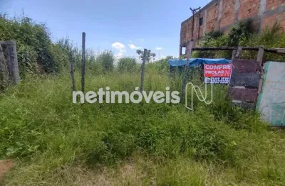 Venda lote-área-terreno menezes (justinópolis) ribeirão das neves