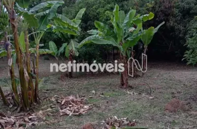 Terreno comercial à venda na Rua Etervino Tibúrcio Henriques, Garças, Belo Horizonte
