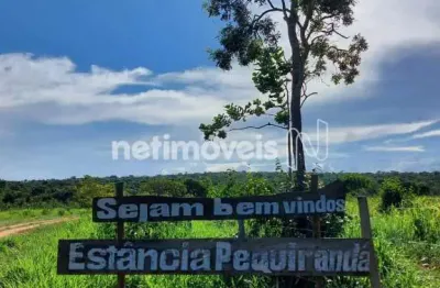 Próximo a uma reserva ambiental com uma bela trilha ecológica.