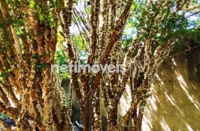 Casa com 2 quartos à venda na Rua São Francisco, Tavares de Minas, Pará de Minas