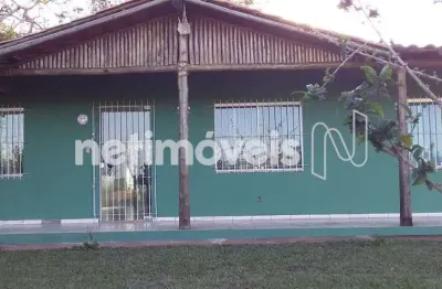 Chácara / sítio com 3 quartos à venda na Lote 19, Pontevila, Formiga
