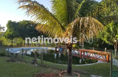 Chácara / sítio com 6 quartos à venda na Rodovia Mg - 010, Campo Alegre, Jaboticatubas