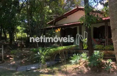 Venda sítio comunidade sítio teresópolis santa luzia