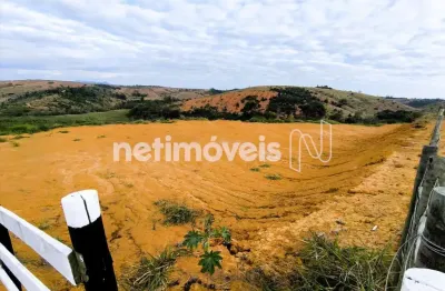 O empreendimento possui rede de água, de energia e arborização viária.