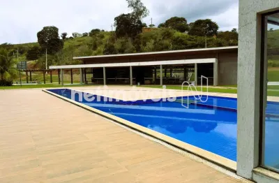 O empreendimento possui rede de água, energia, arborização viária.