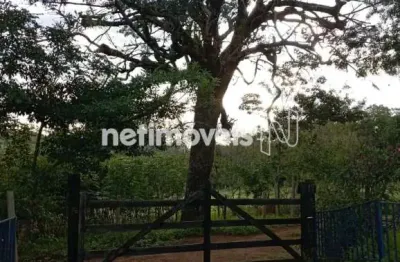 Chácara / sítio com 3 quartos à venda na Estrada Estrada Para Ribeirão Dos Cornélios, Zona Rural, Itaguara