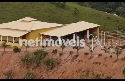 Chácara / sítio com 4 quartos à venda na Fazenda Barra Grande Ou Palmital, Bicuíba, Raul Soares