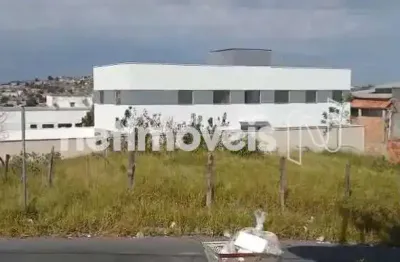 Venda lote-área-terreno severina ribeirão das neves