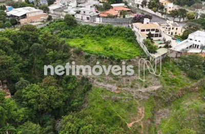 Terreno comercial à venda na Rua Geraldo Lúcio Vasconcelos, Estoril, Belo Horizonte
