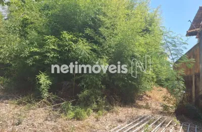 Terreno comercial à venda na Rua Nísio Batista de Oliveira, São Lucas, Belo Horizonte
